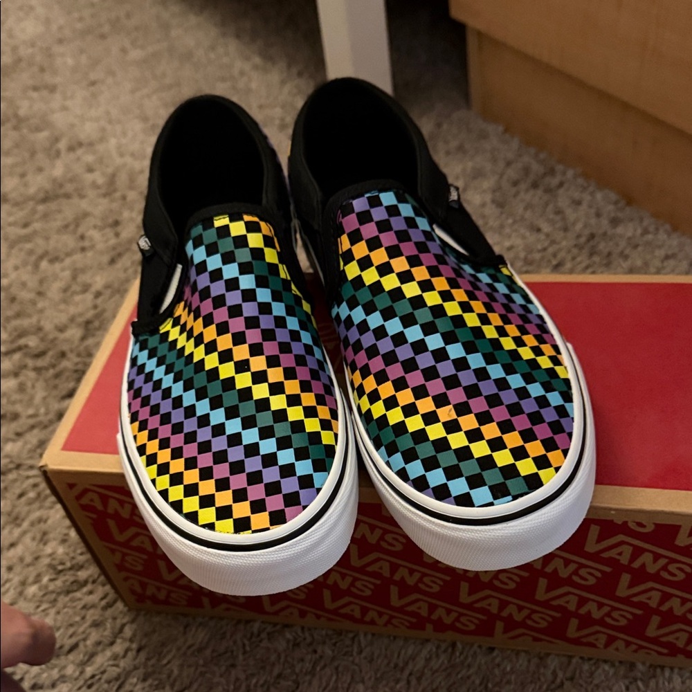 Vans Colorful Checkered Slip-Ons